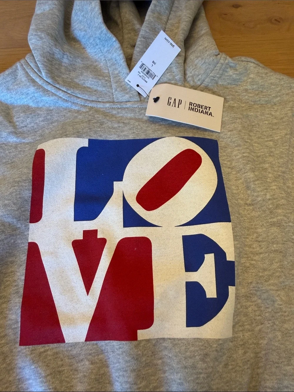 Hoodie and Skirt Set- NWT Gap Kids Mini Skirt with Hidden Shorts and Love Hoodie